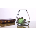 Forme Super Large Verre Terrarium Géométrique